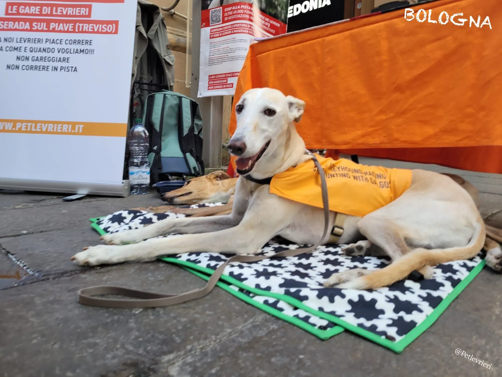 f3058858 7523 4f26 b95d 27f97f5f4af1 risultato