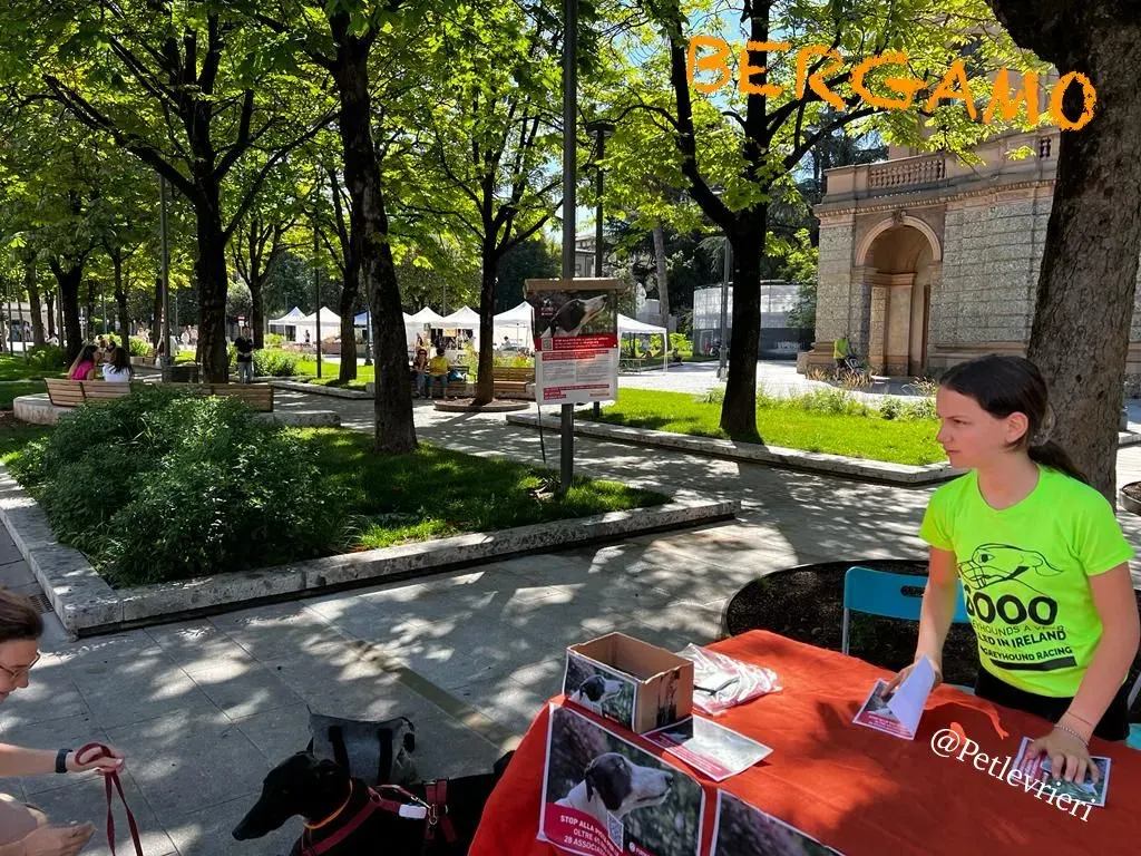 f52e2d88 e1e0 44ec a306 e5ddce24b42f risultato