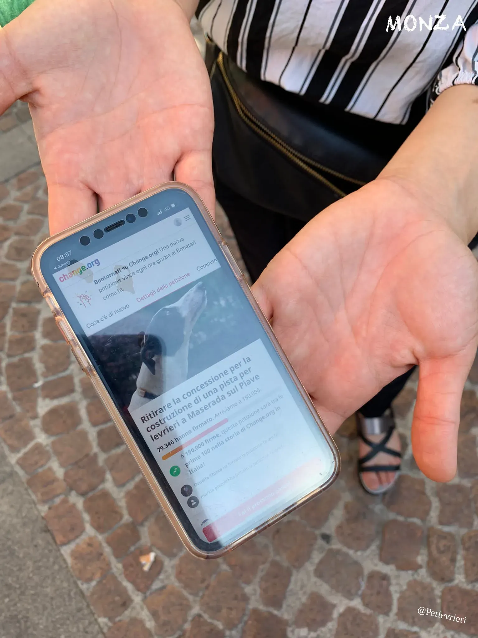 f5a0fae6 b399 42d1 adcf 9cb363341c29 risultato