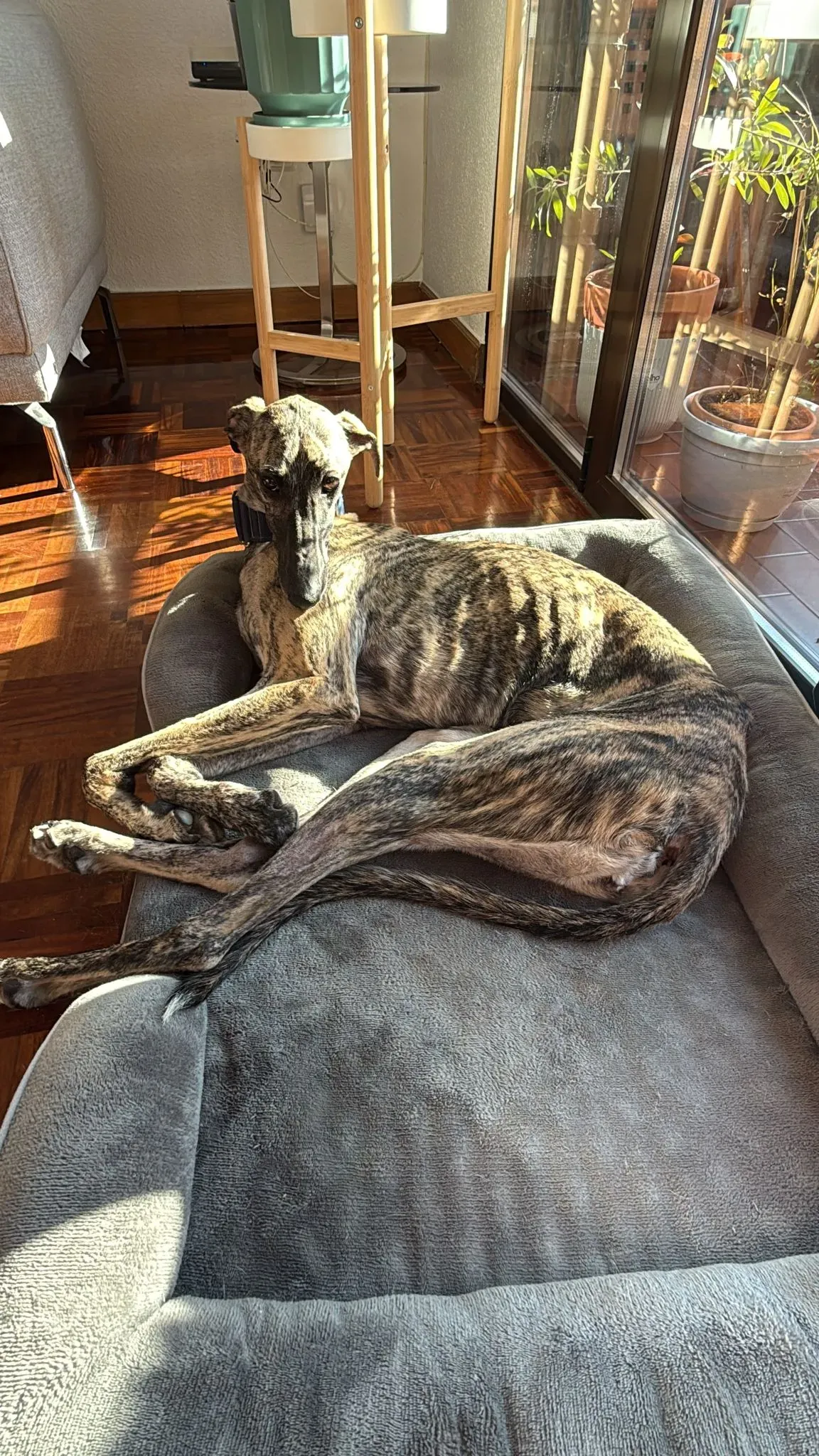 f5e23877 2dc6 4c07 bc01 de9023925960