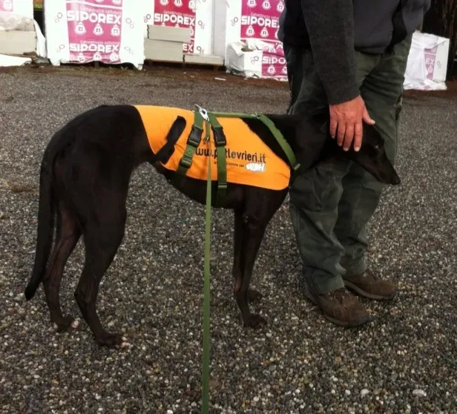 f620b454f4cd0cf03f4ed3892ae296e6