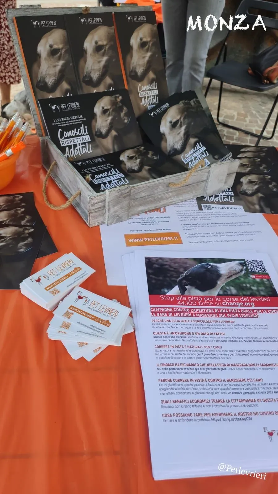 f7dc146b 2790 4d0a 9c9b eb4f1e44bcf3 2 risultato