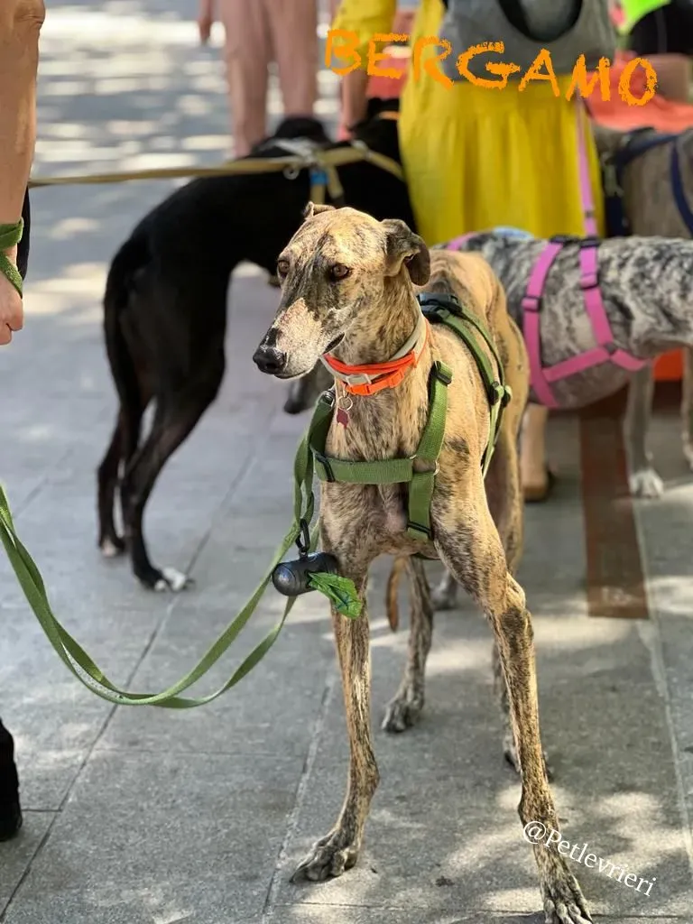 f8328186 3edd 429e 90de 27e1df04bd6a risultato