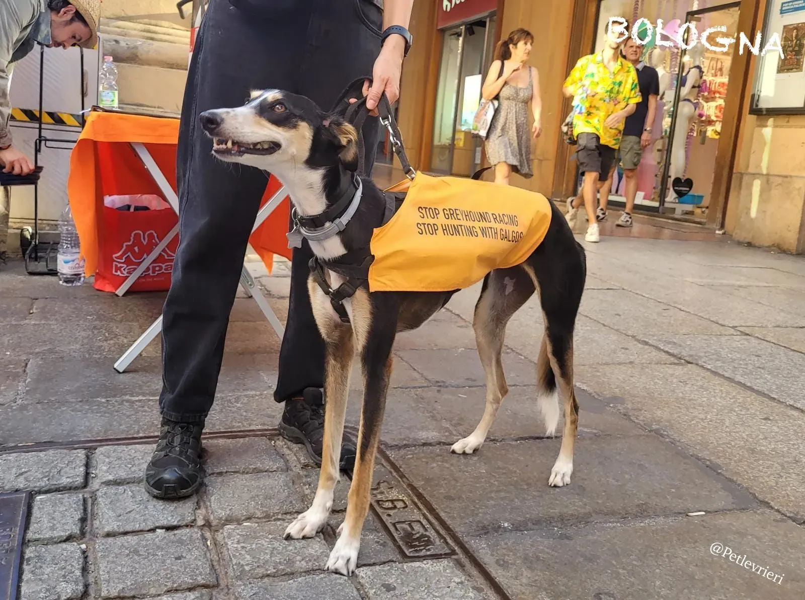 f9303e7b 89ab 4c4c b92c 691fc0d59ad7 risultato