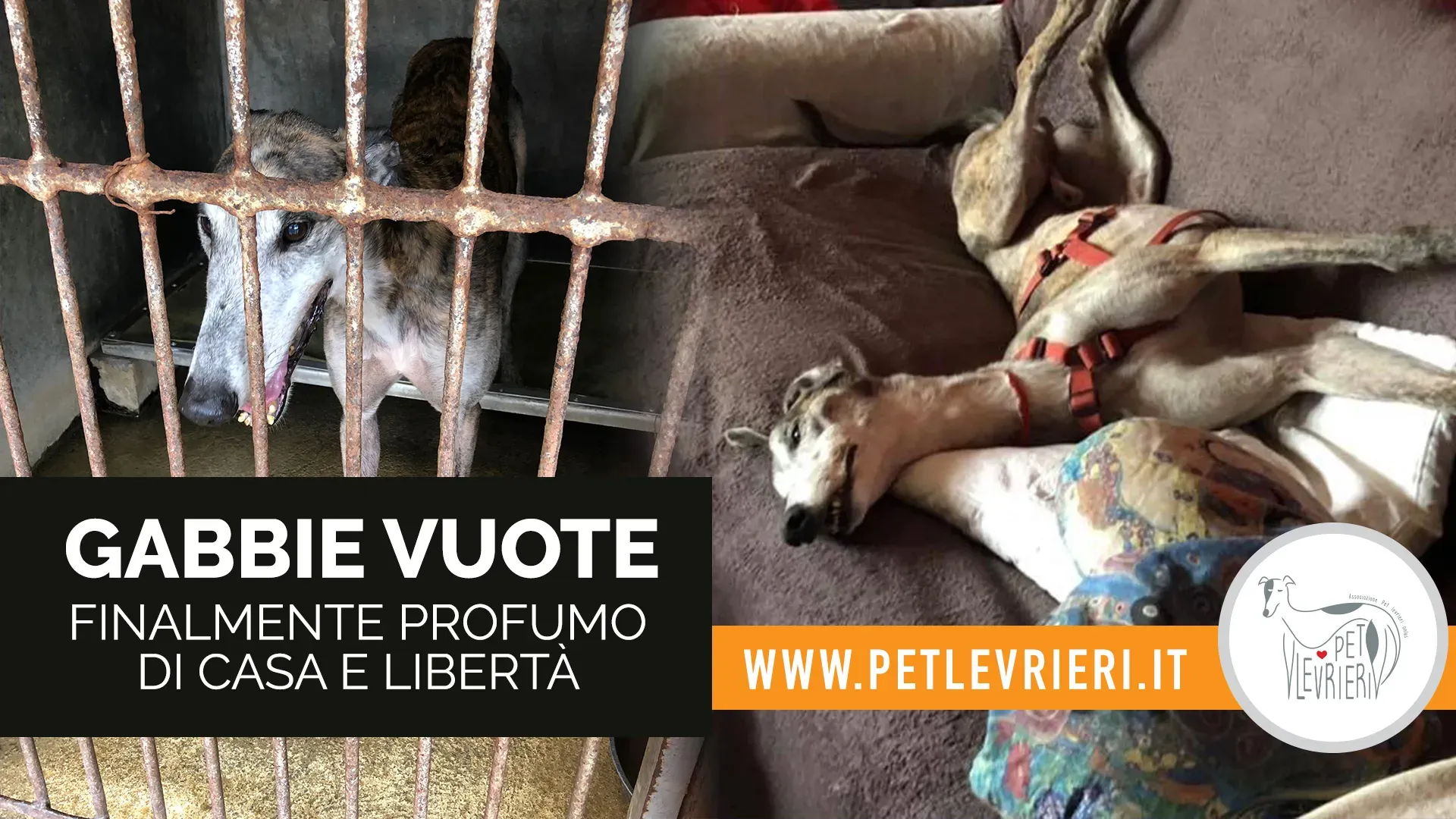 facebook grey macao GABBIE VUOTE