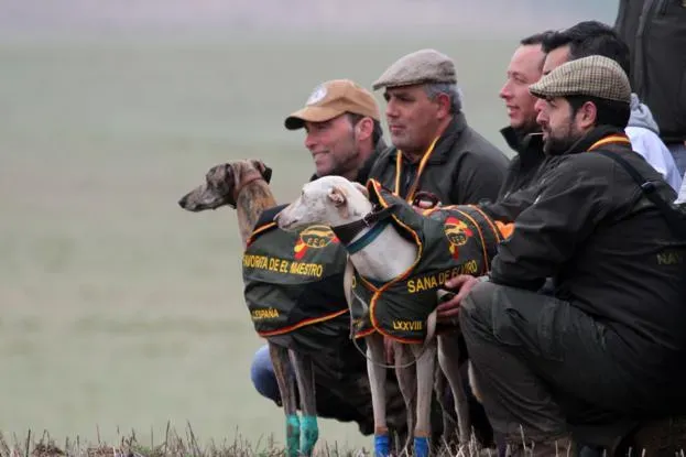 favorita e sana finaliste