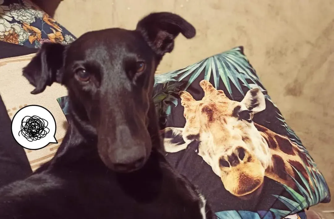 fb img 1637736808973