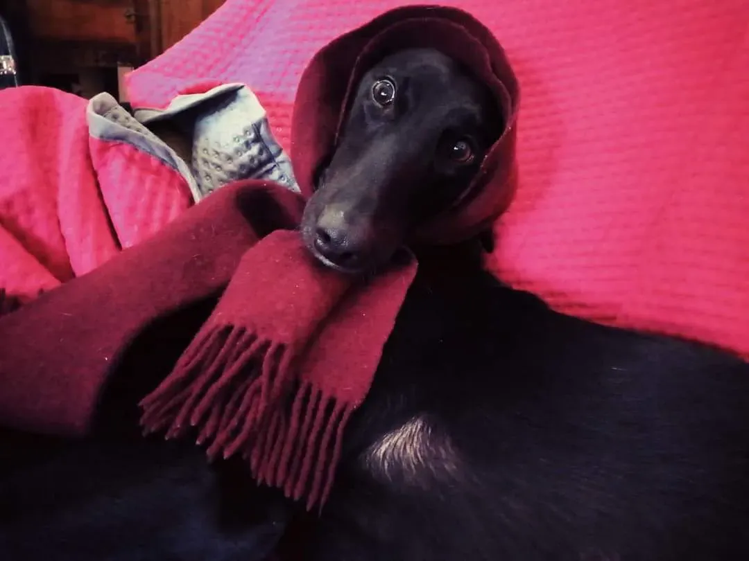 fb img 1638555827362