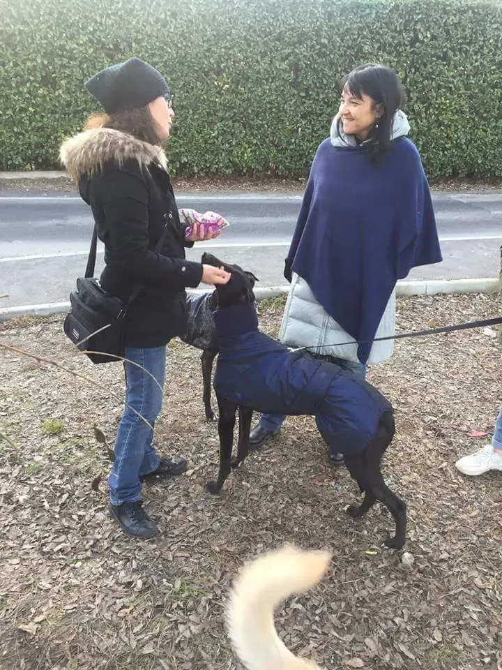 fb img 1641324173529