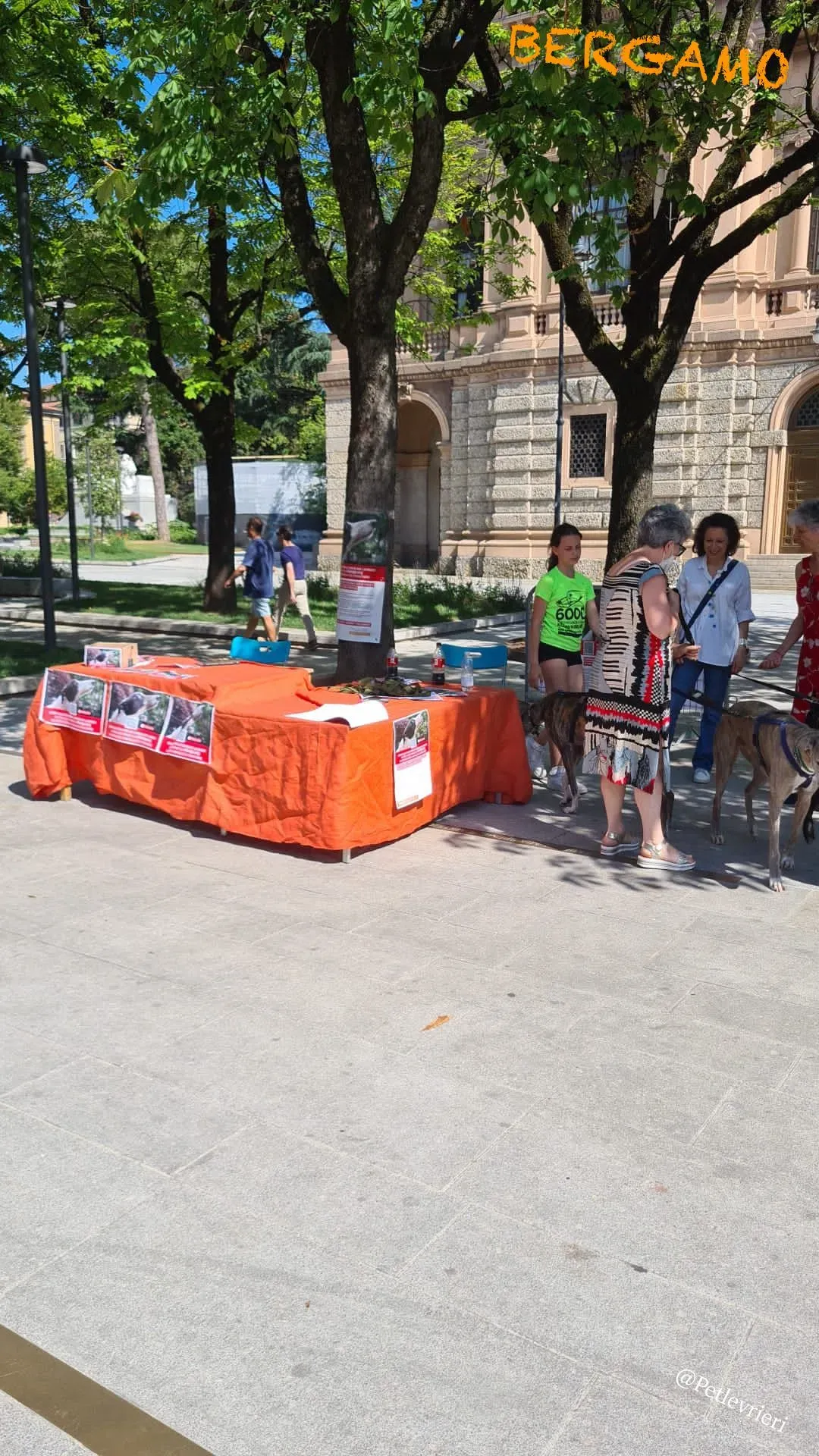 fd40124c df04 4654 afe9 f738f18db980 risultato