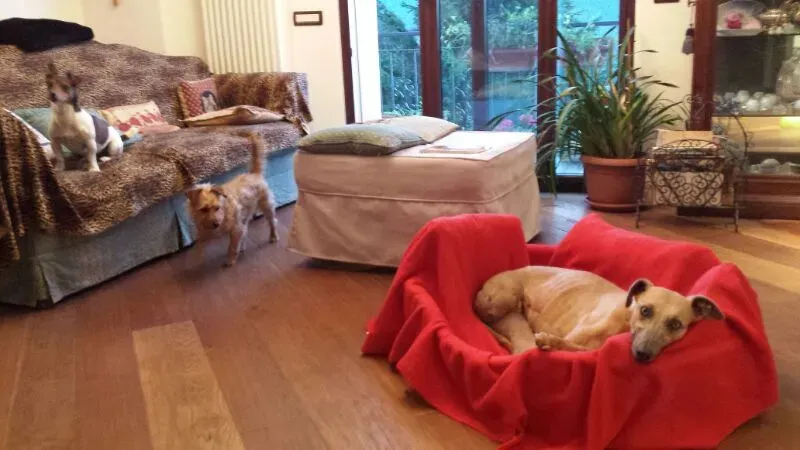 fe08251e7c263e6af9d1ab428994de78