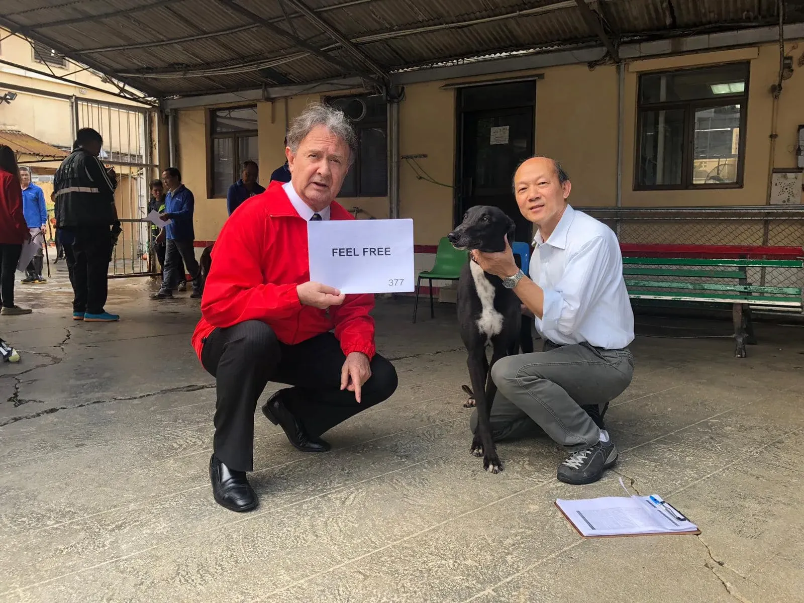 feel free partenza greyhound macao