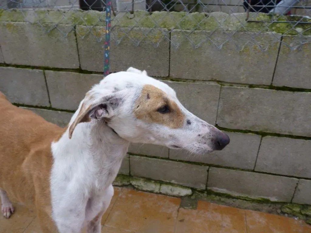 feliz3 e1550261186849