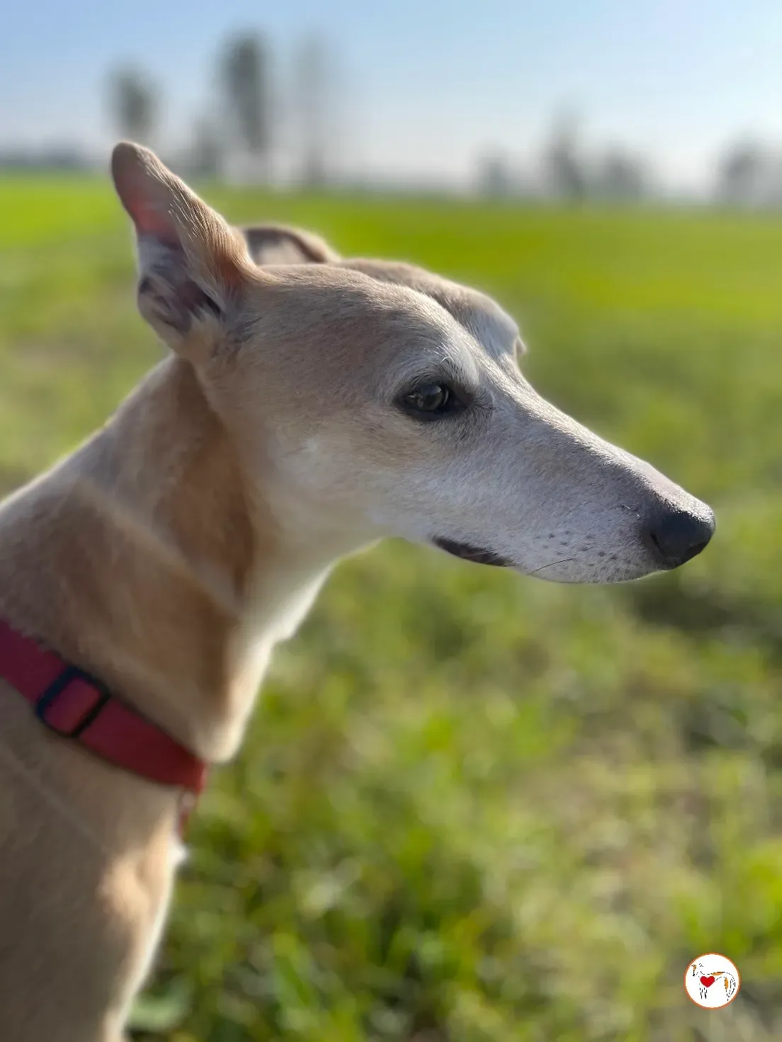 ff956a07 af3c 4351 8af4 b839ca95e7be