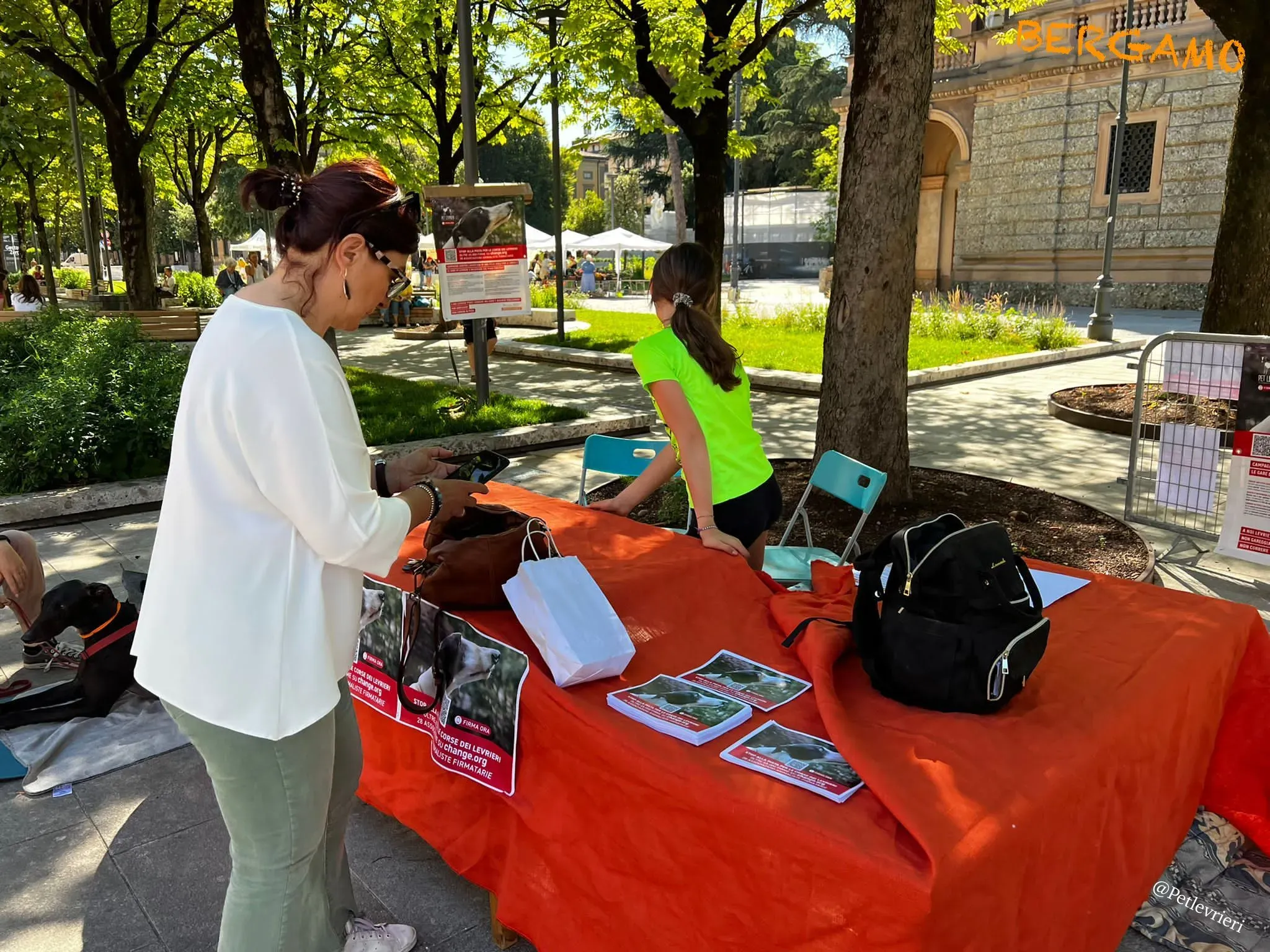 ffc7ea39 f485 479e 9b87 2bc5cb5c7b78 risultato