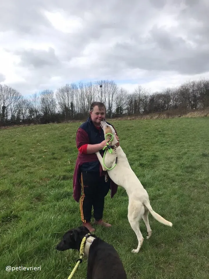 fonda adozione greyhound 2