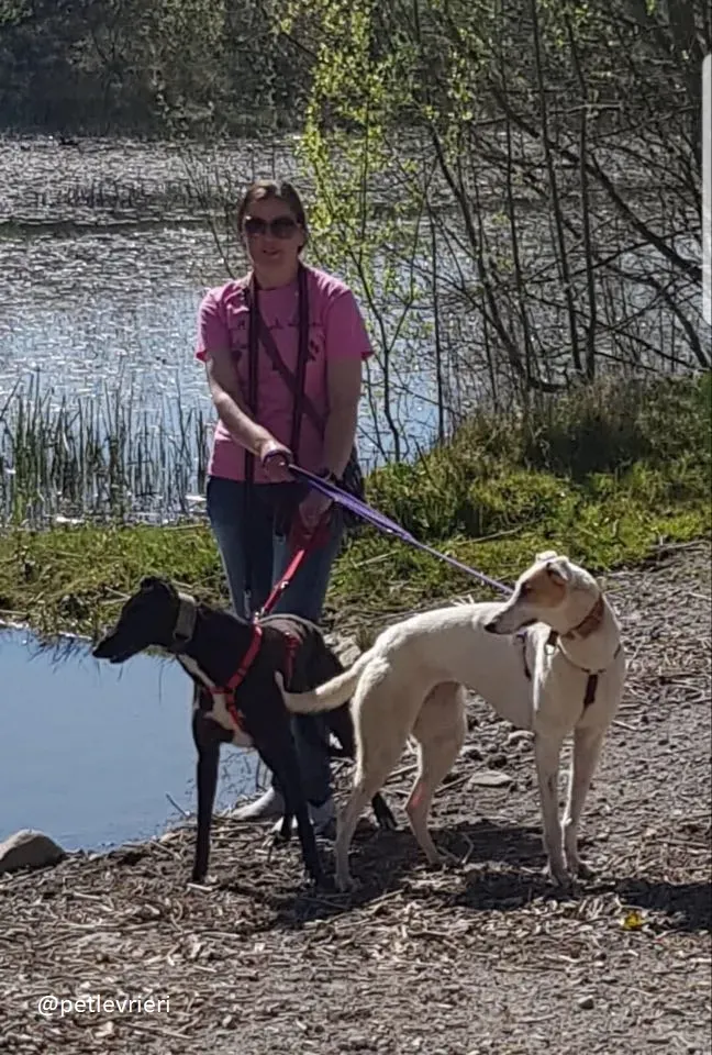 fonda e Hepburn adozione greyhound 23