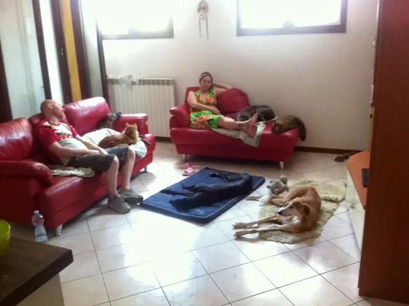 foster progettofoster petlevrieri petlevrierionlus  1