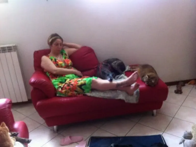 foster progettofoster petlevrieri petlevrierionlus