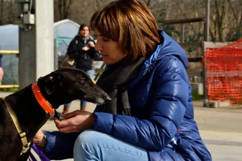 foster progettofoster tilly petlevrieri petlevrierionlus 3