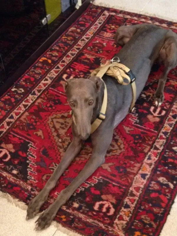 foto 1 1 e1403247473766