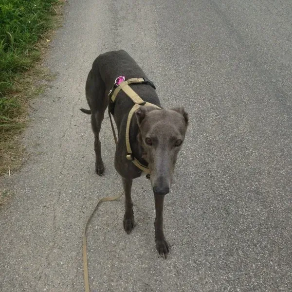 foto 2 2 e1405889463894