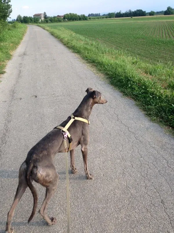 foto 2 e1405889496571