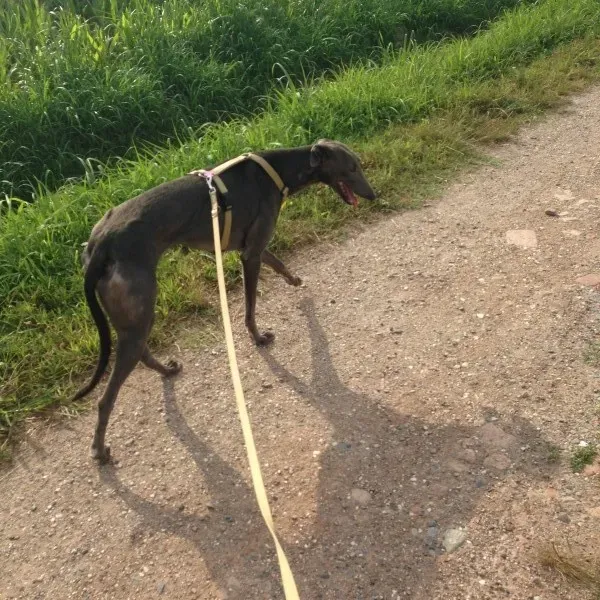 foto 3 1 e1405889530804