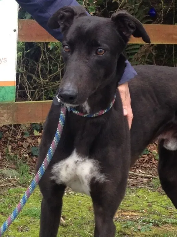 foto 3 e1397803964908