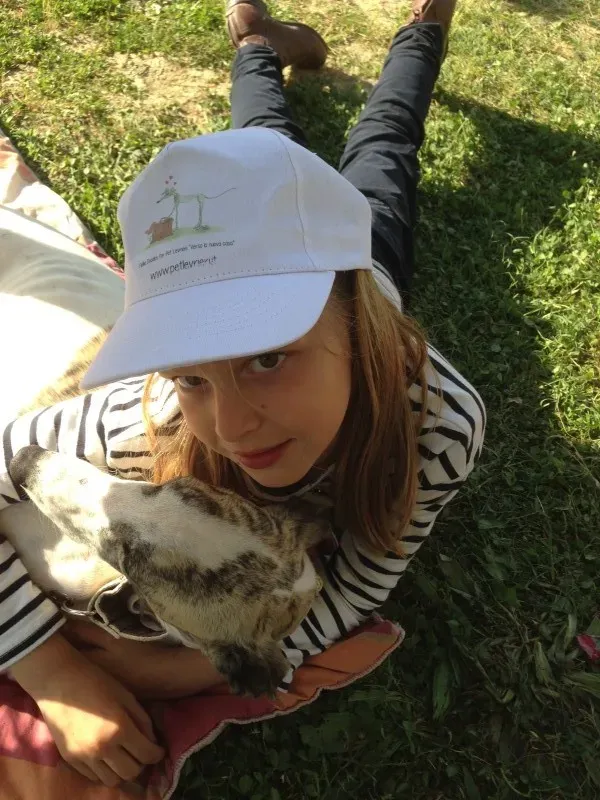 foto 4 1 e1401139605162