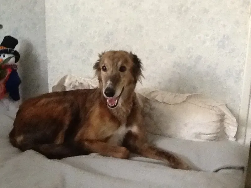 foto 4 e1411813866108