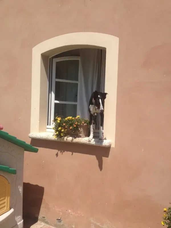 foto26 e1411909310829