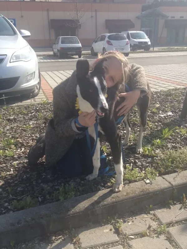 foto33 e1411910332225