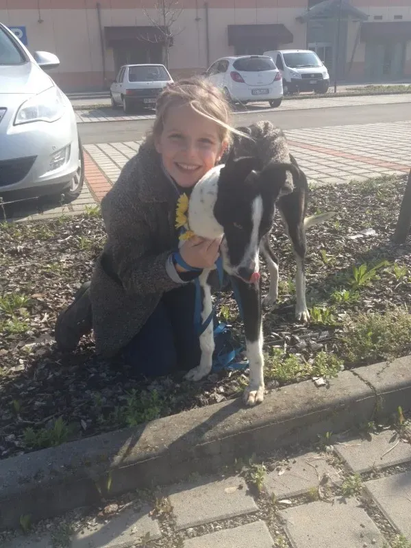 foto34 e1411910350528