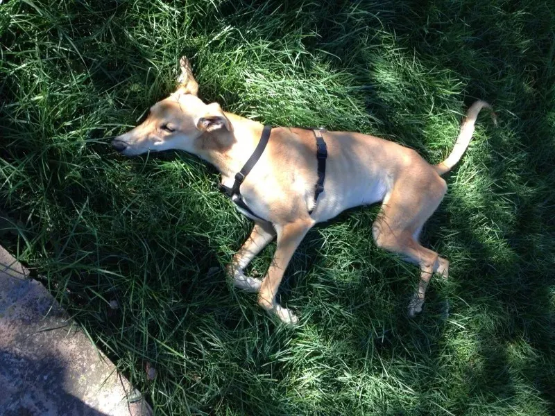 foto40 e1411910381604