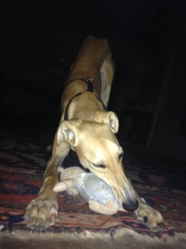 foto7 e1411909285709