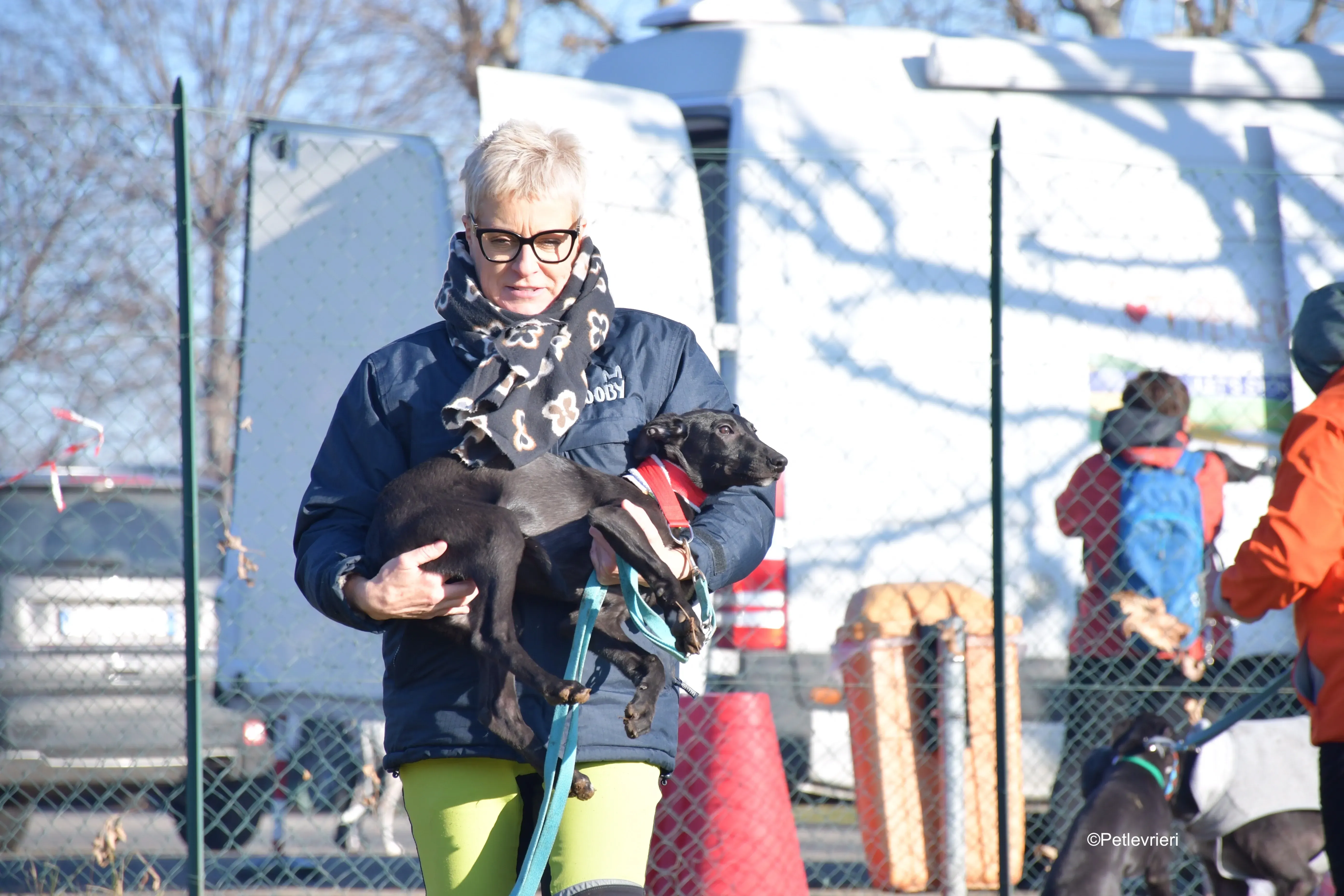 frederick adozione levrieri greyhound 2