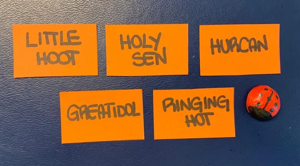 furgone trasporto greyhound macao 1