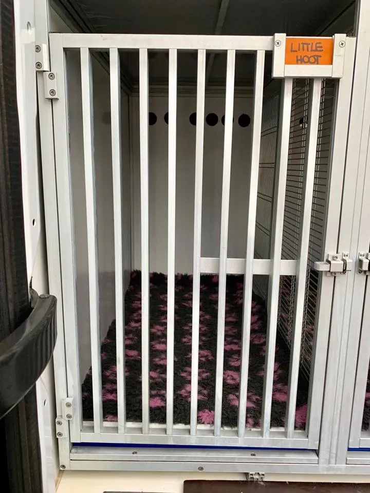 furgone trasporto greyhound macao 3