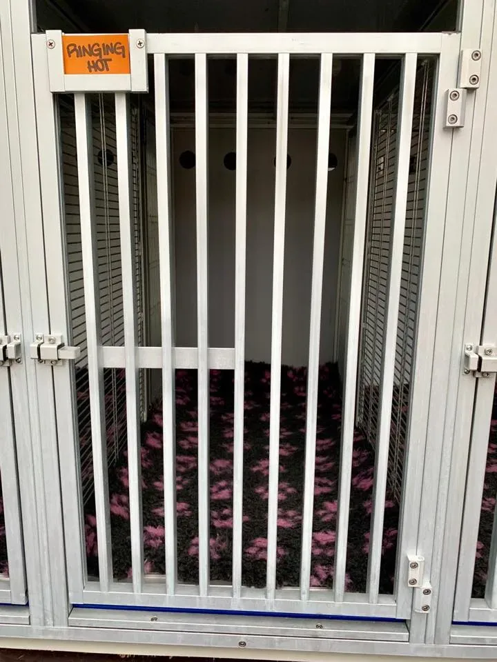 furgone trasporto greyhound macao 4