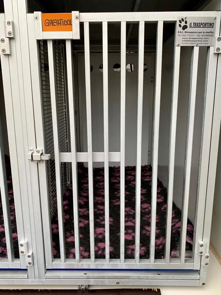 furgone trasporto greyhound macao 5