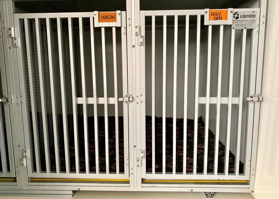 furgone trasporto greyhound macao 6