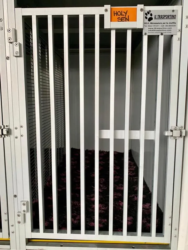 furgone trasporto greyhound macao 8