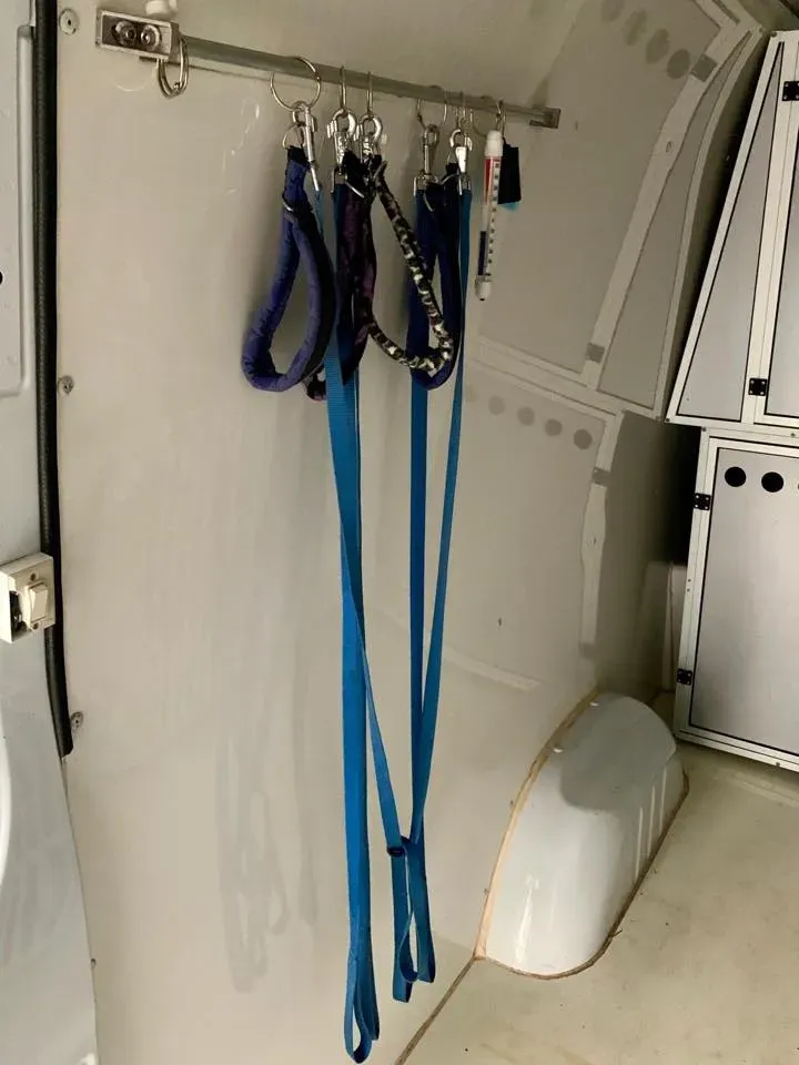 furgone trasporto greyhound macao 9