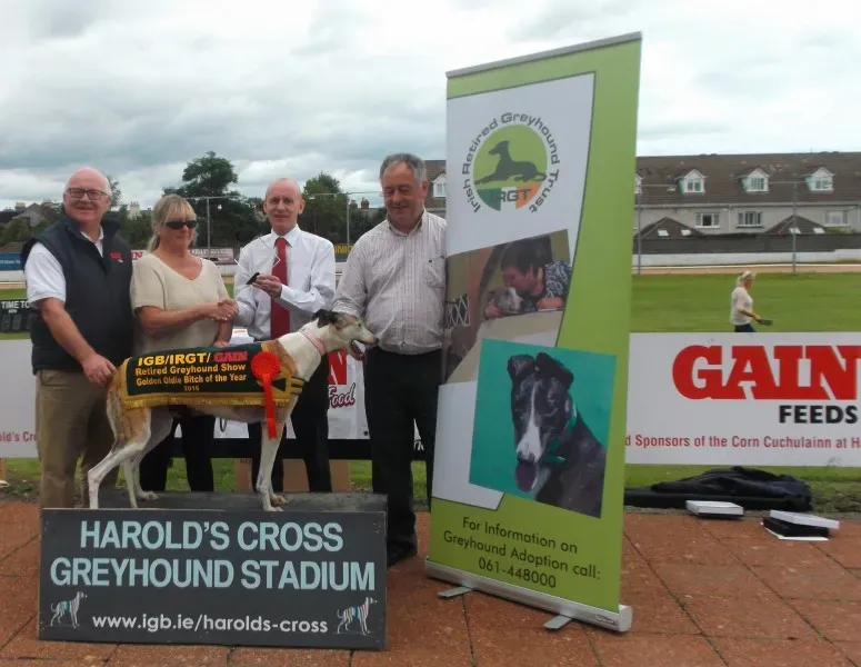 golden oldie female dalcash fickle