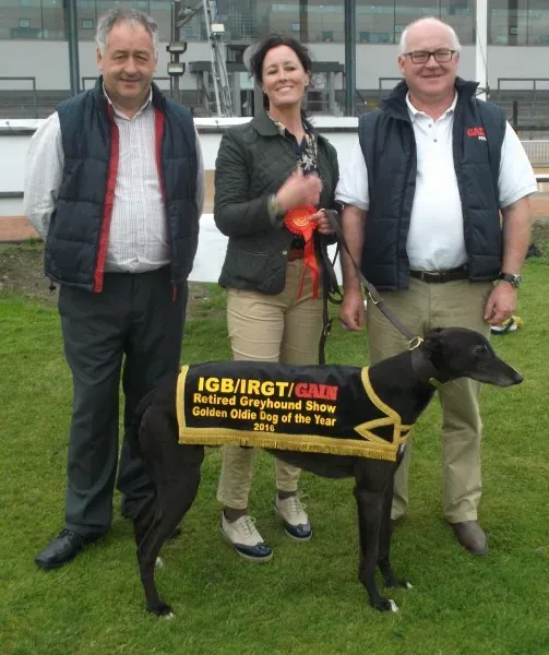 golden oldie male winner