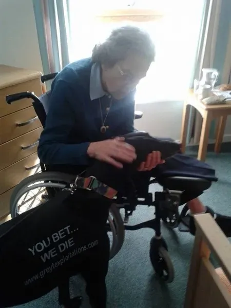 grey e pet therapy 1