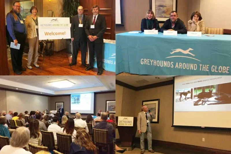 greyglobe images 1 1