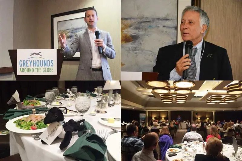 greyglobe images 2 1