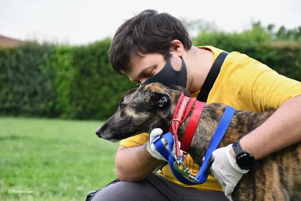 greyhound adoption day 30 maggio 81